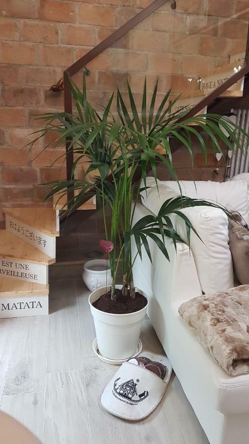Loft Giuly Apartamento Vignanello Exterior foto